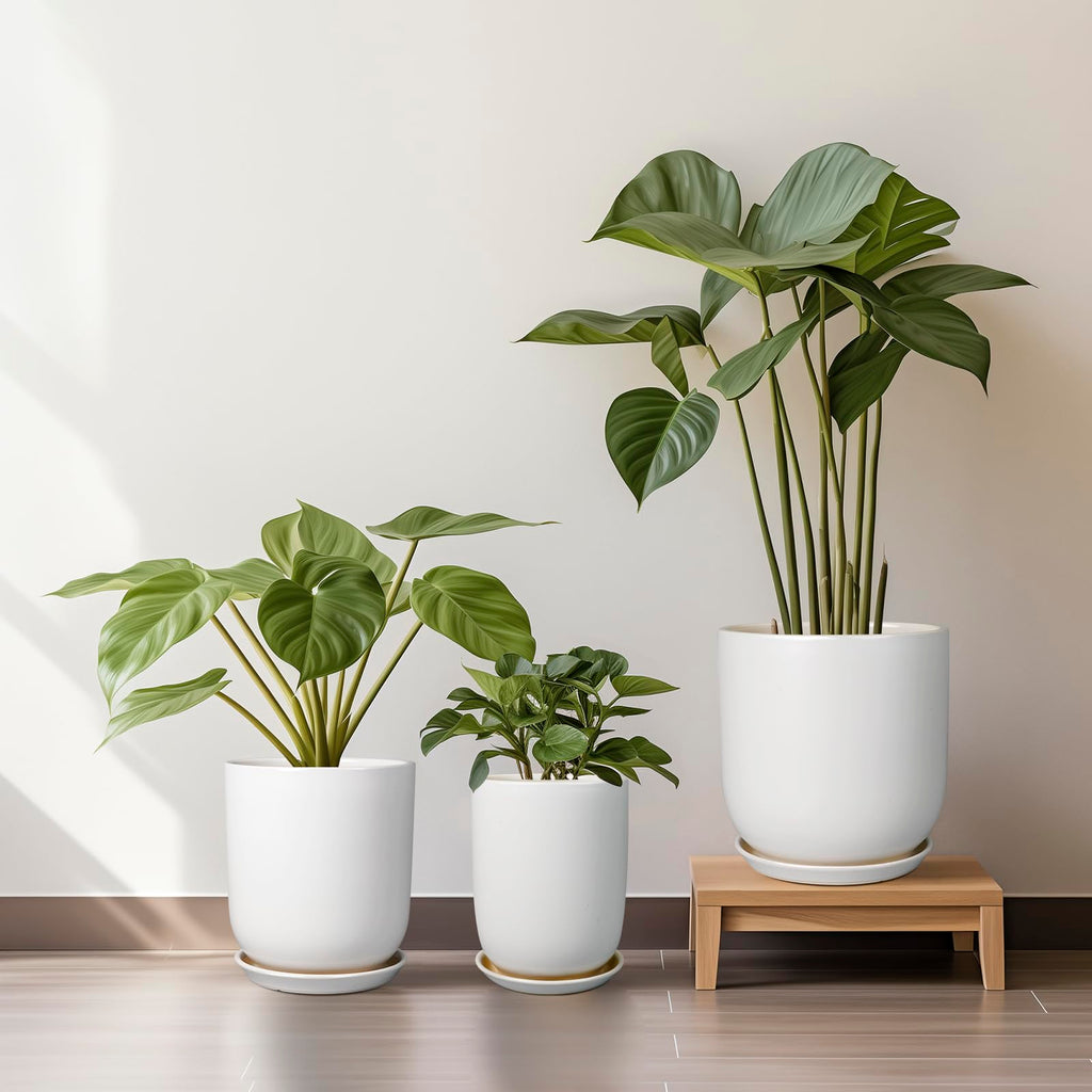 Plant Pot 8 Inch - Ceramic Planter for Indoor Plants Outdoor, Large Plant Pot with Drainage Hole and Saucer, Modern