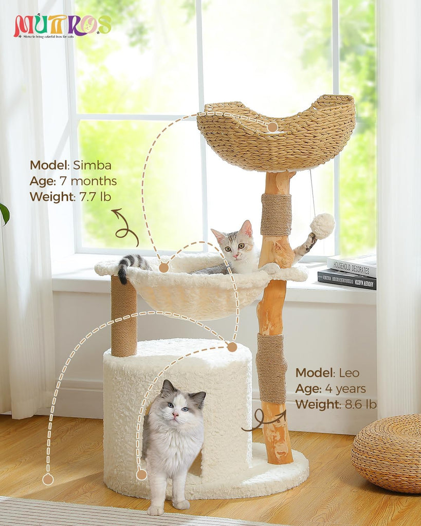 Modern Cat Tree for Large Cats, Wood Cat Tower for Indoor Cats, Real Branch Luxury Cat Furniture with Super Large