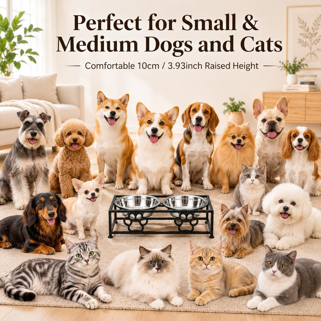 Raised Dog Bowls for Small Dogs, Elevated Bowl Stand Stainless Steel Dishes