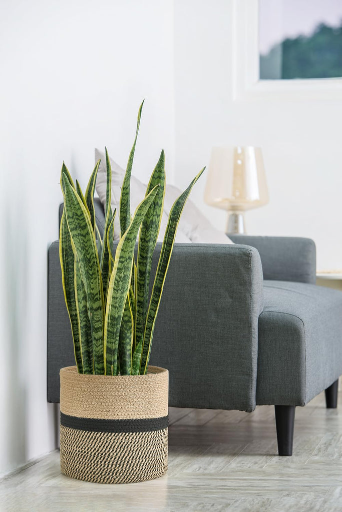 Plant Basket Indoor for 10 inch Pot Woven Jute Planter, Black