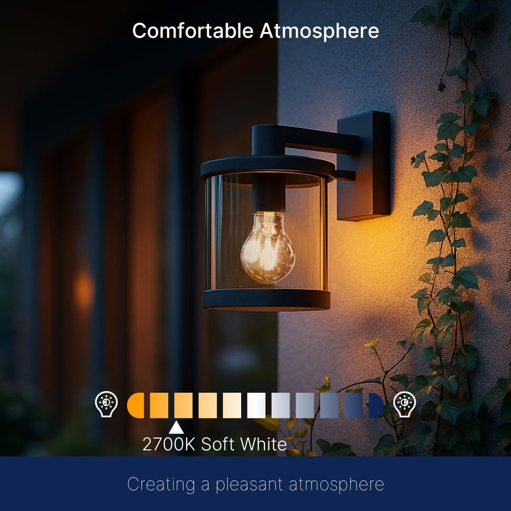 Dusk to Dawn Outdoor Sensor A19 LED Edison Bulbs,7W (60W Eqv.), 800LM,Vintage Filament E26 Base, Auto On/Off