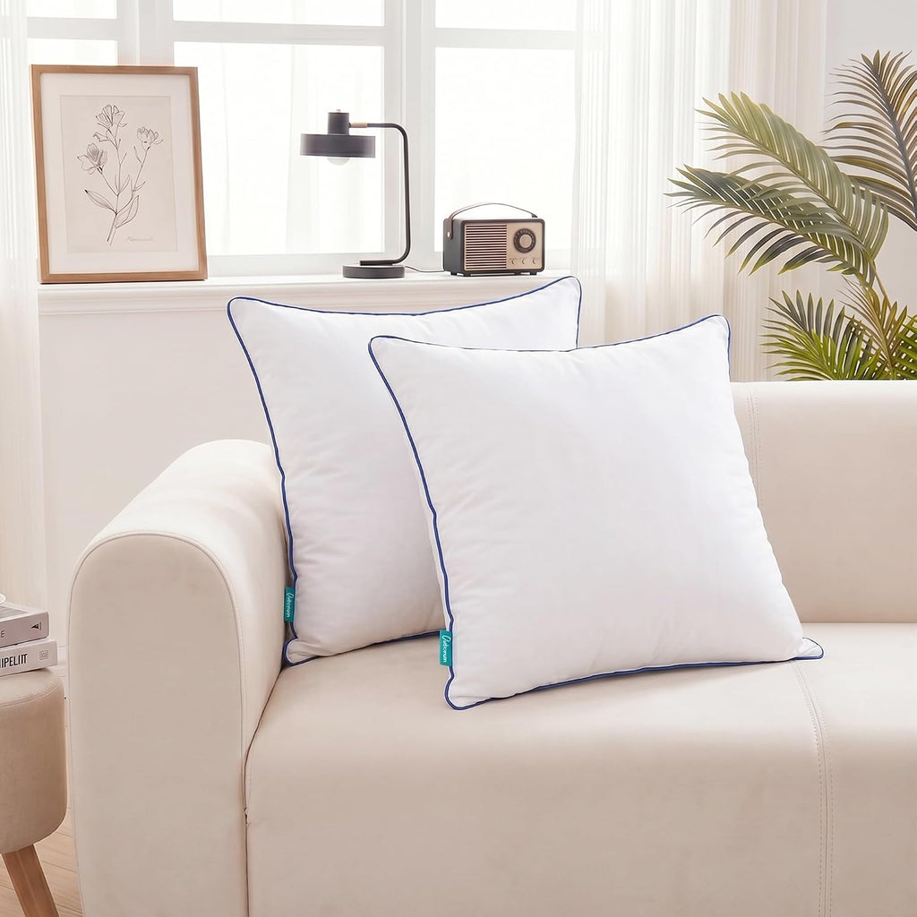 18 x 18 Throw Pillow Inserts - Set of 2