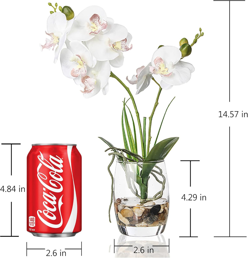 14.5" Artificial White Orchid Centerpiece in Glass Vase