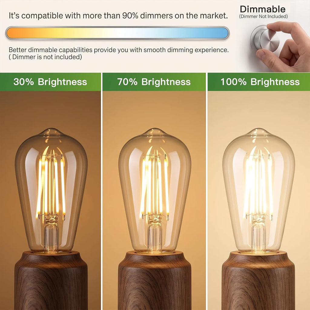 6Pack ST58/ST19 Vintage LED Edison Bulbs