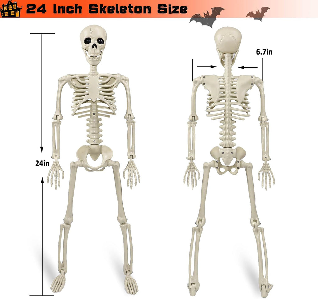 24"Halloween Skeleton - 2 ft Life Size Human Skeleton with Full Body Posable Joints Plastic Skeleton - Set of 2