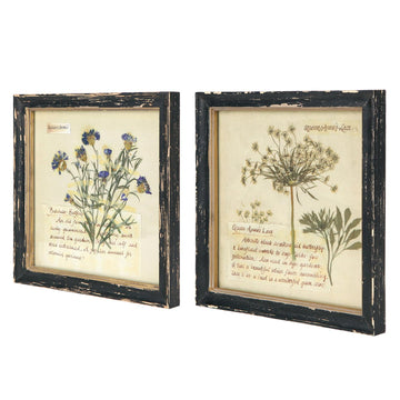 Botanical Wall Art Set of 2, Vintage Wood Framed Prints 10"x 10"
