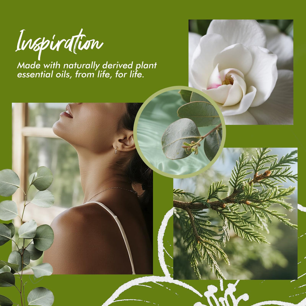 Fragrant Room Spray, Fir Grove, Eucalyptus Leaves, Gardenia, 3 x 3.4 fl oz