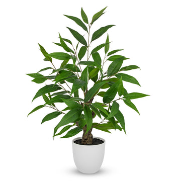 Artificial Eucalyptus Plant in Pot, Faux Eucalyptus Tree, Indoor Home Décor