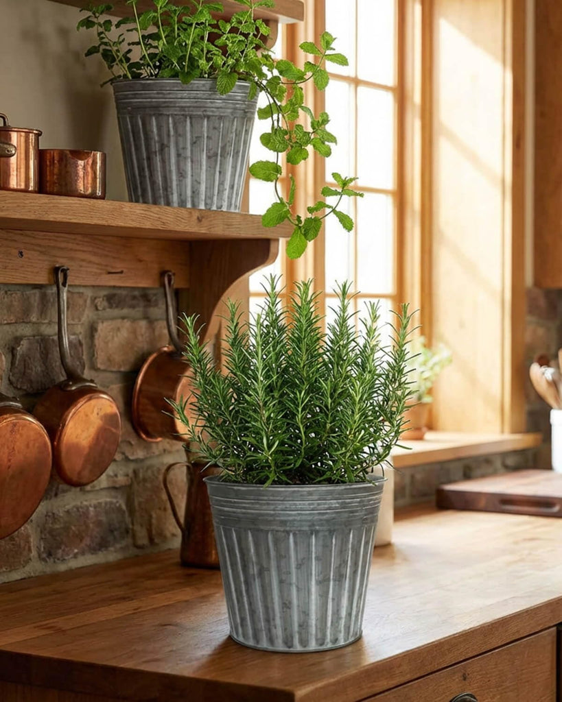 8 Inch Galvanized Planters, 4 Pack Metal Plant Pots with Drainage Hole