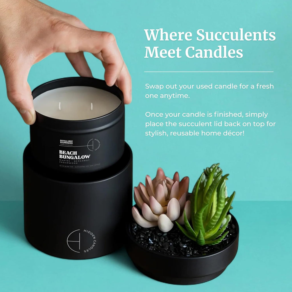 Hidden Candle - Beach Bungalow | Marine, Bergamot & Cedarwood Scented Candle with Faux Succulent | 10.6oz Soy Wax - Set of 106