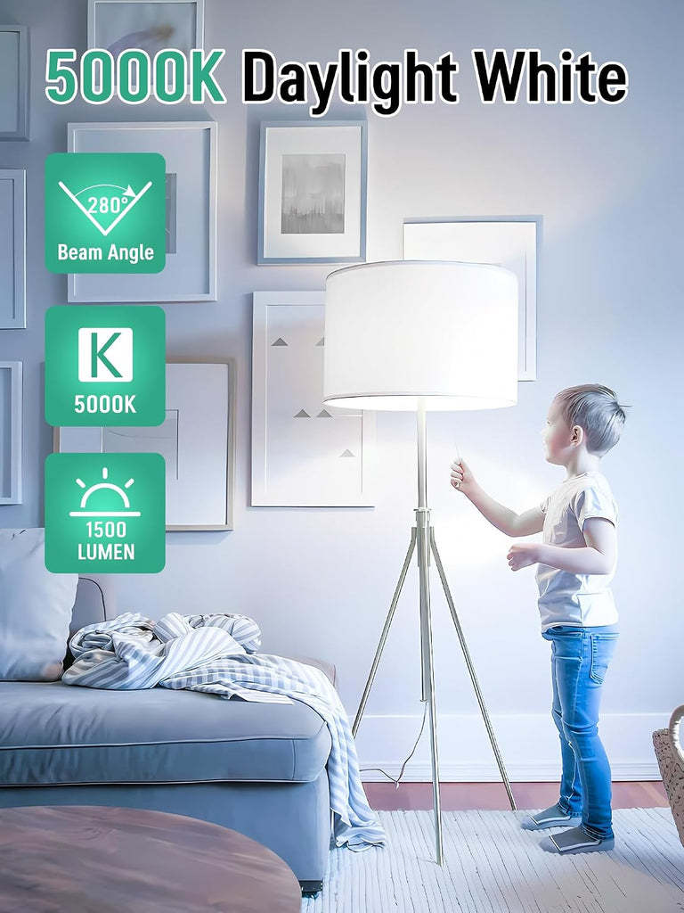 LED Light Bulbs 100 Watt Equivalent, A19 5000K Daylight White