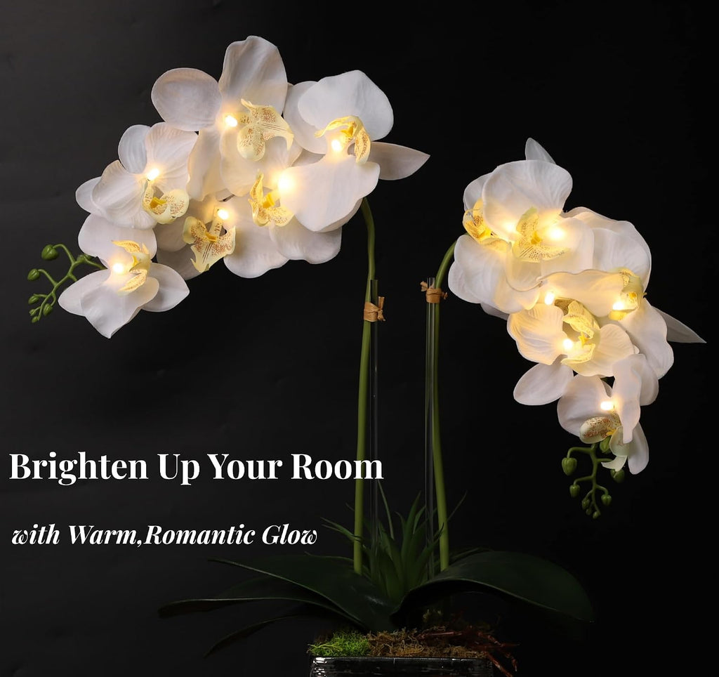 Orchid Lamp-LED Lighted Orchid Arrangements,Pre Lit Artificial Orchid,Light Up Flower Lights, Faux Orchid