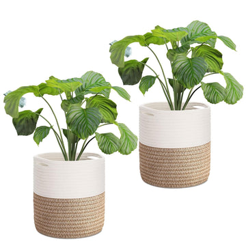 Plant Basket (2 Pack) Modern Urban Boho Rattan Cotton Rope Basket Indoor Planter Holder (Up to 10 Inch Flower Pot)