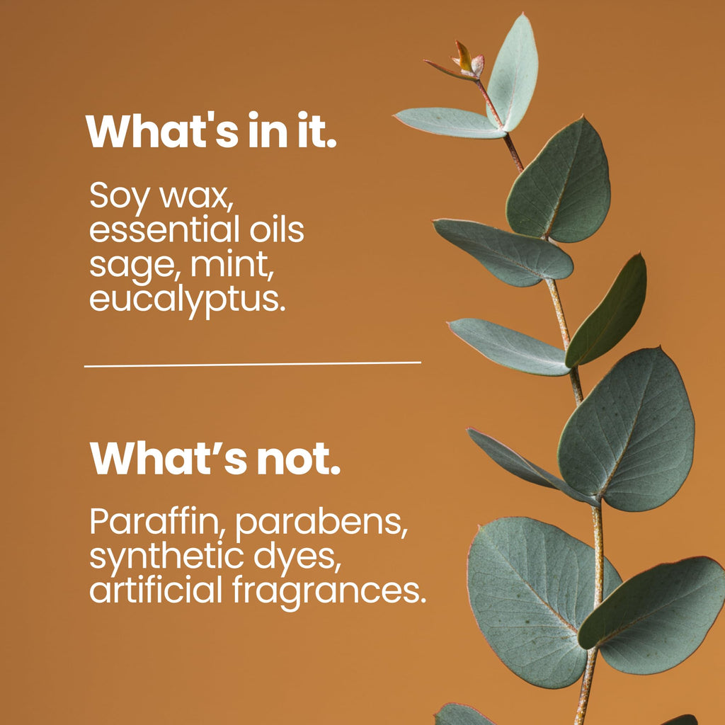 Soy Healing Energy Renewal | Aromatherapy with Eucalyptus, Pine, Sage & Mint | 50 Hour Burn, Meditation & Spiritual