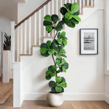 Artificial Fiddle Leaf Tree, 7ft Faux Plant Fake Ficus Lyrata Trees with White Planter & Moss, Artificial Fig Trees