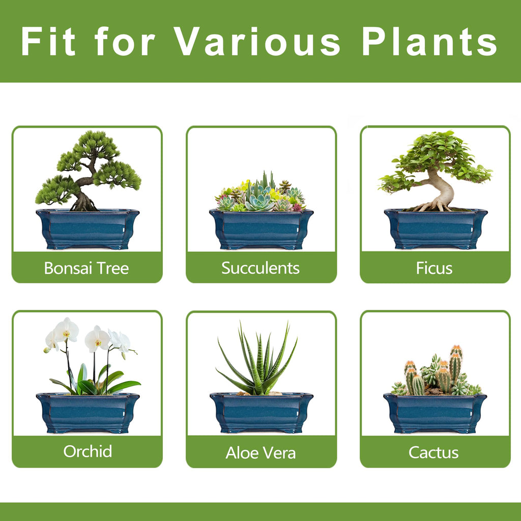 Bonsai Tree Pot - 13.7 Inch Large Ceramic Succulent Planter for Indoor Outdoor, Rectangle Plant Pot with Drainage