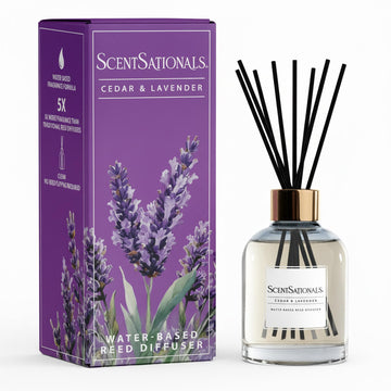 Cedar & Lavender Water-Based Reed Diffuser - 5 FL OZ