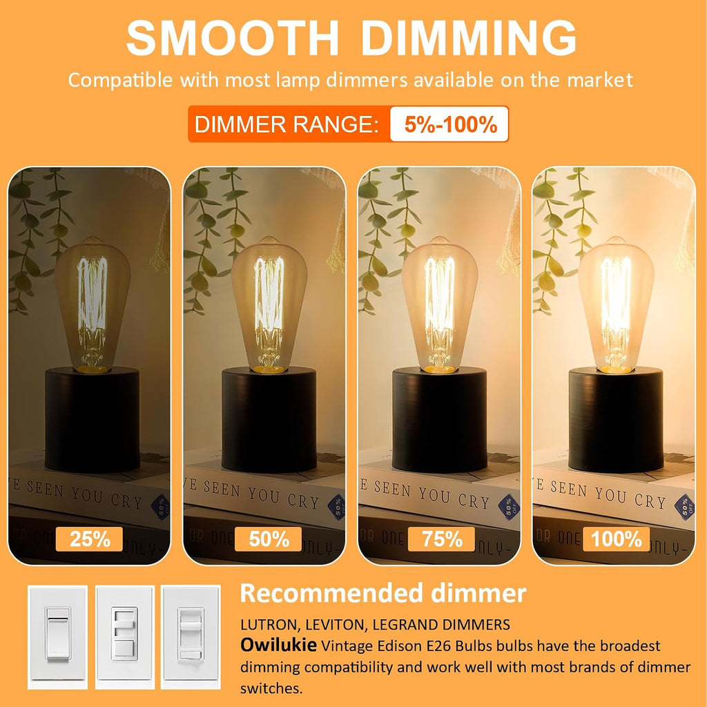 E26 LED Bulb 6W Equivalent Edison Light Bulbs 60 watt, ST64 Vintage Edison Bulbs, Warm White 2200K Amber, Dimmable