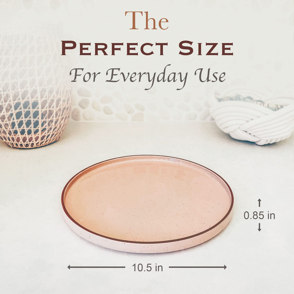 Ceramic Flat Dinner Plates Set of 6, 10.5 in High Edge Dish Set - Microwave, Oven, and Dishwasher Safe, Scratch