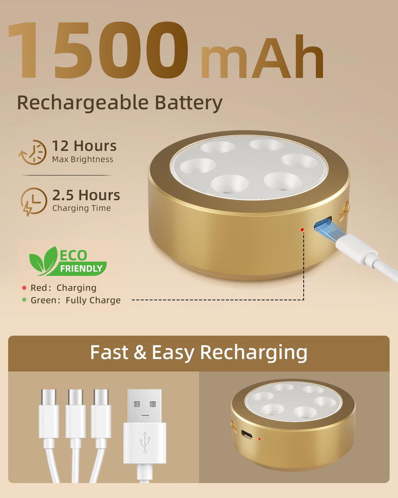Picture Lights for Wall, Rechargeable Magnetic with Remote (Gold-6P)