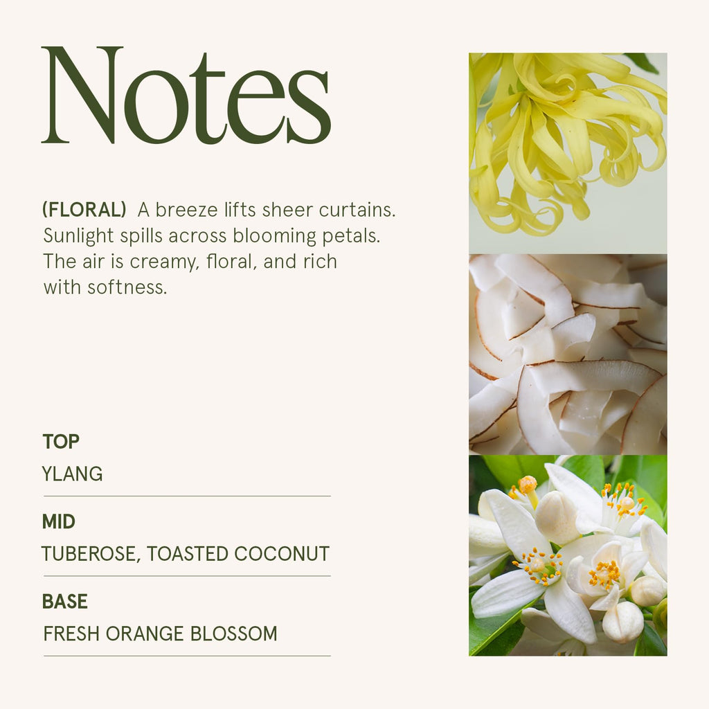 Tuberose Floral Scented Candles, Natural Soy, 55 Hrs