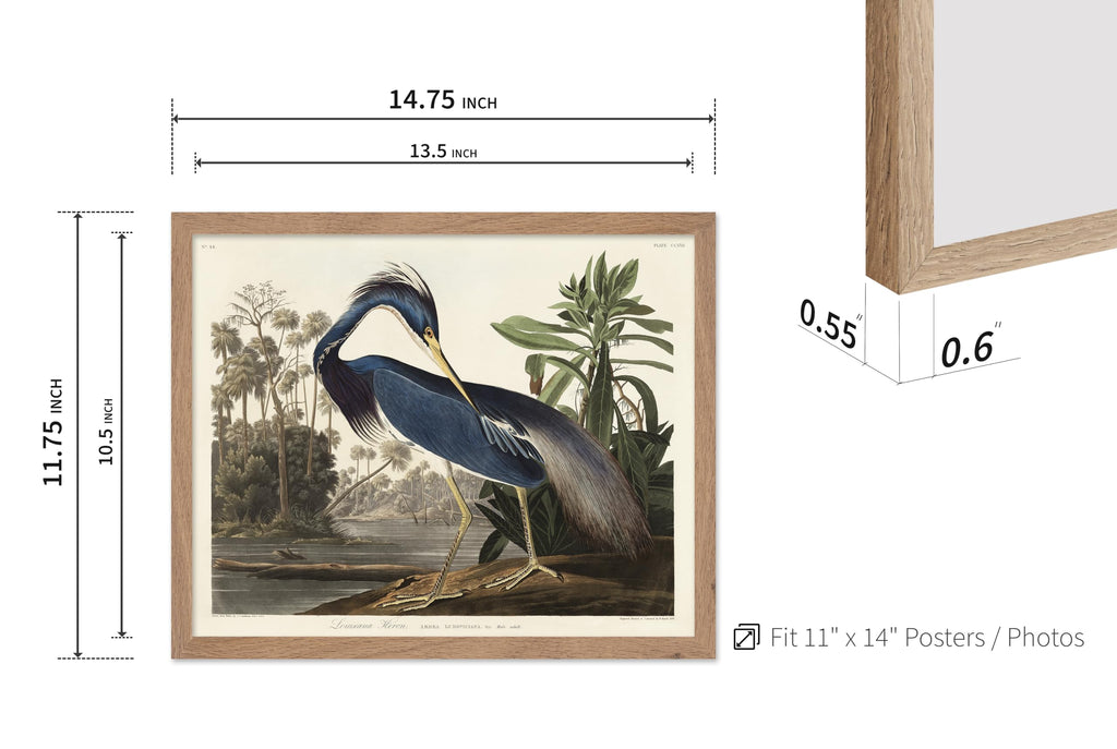 Art Vintage James Audubon Poster - Retro Louisiana Heron Print - Birds of America Art - Gift for Men, Women & Animal