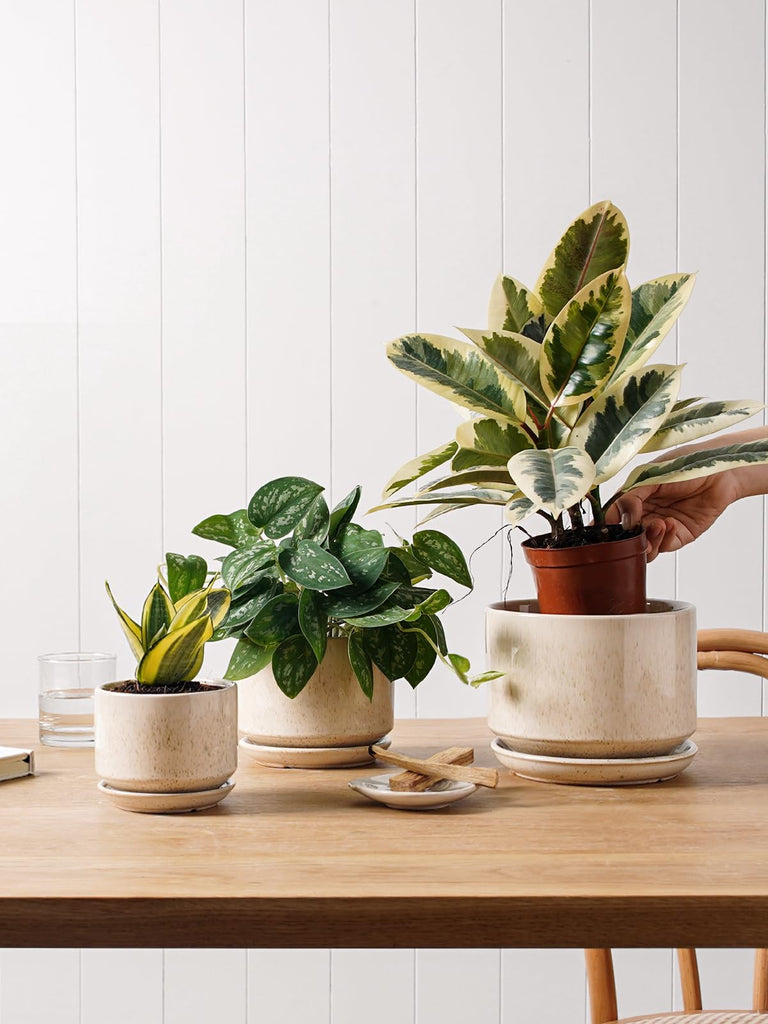 Ceramic Pots for Plants, 4.3+5.3+6.8 Inch, Set of 3, Glazed Beige