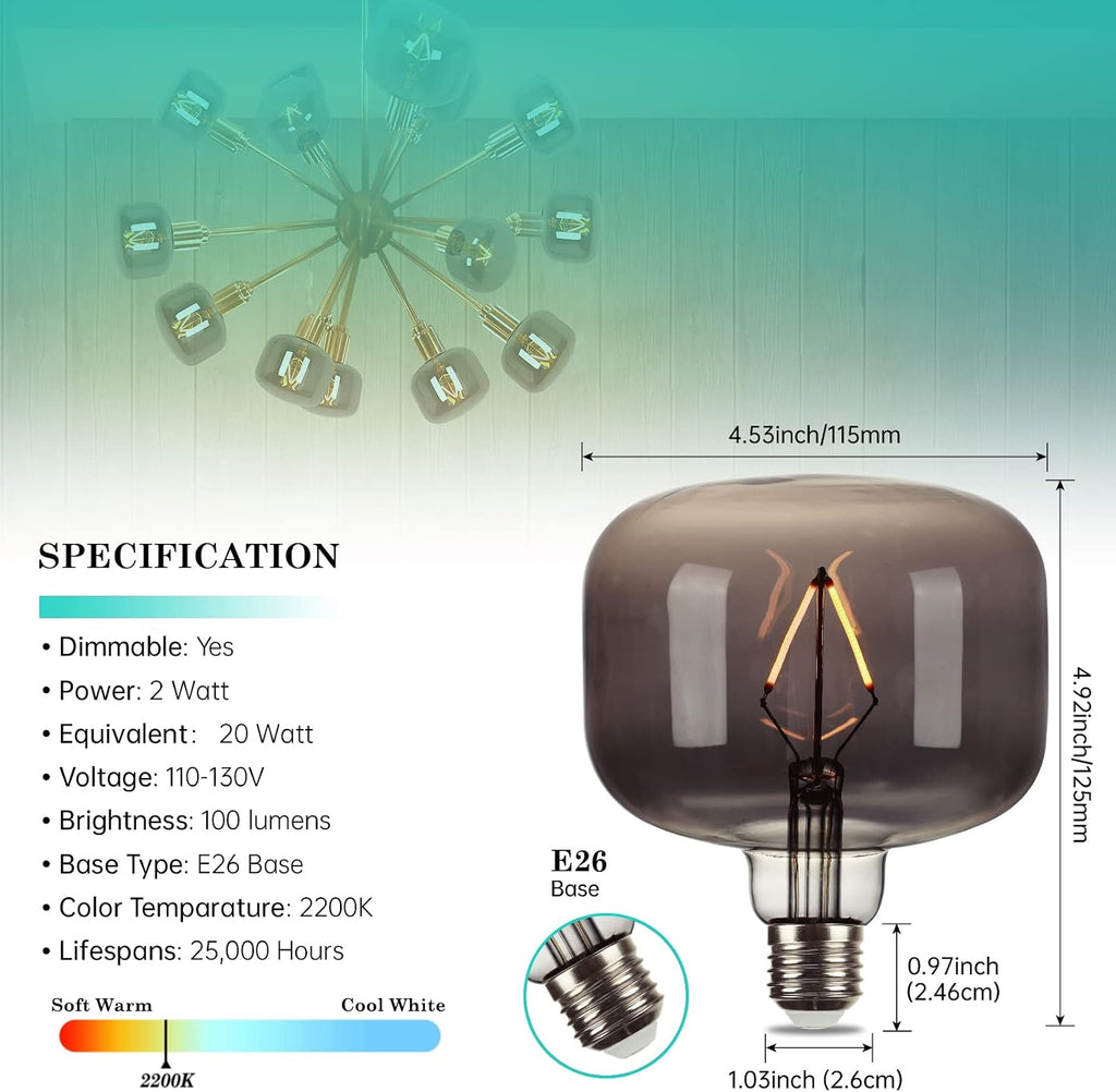 Large Edison Bulbs E26 LED,Smoky Grey 2200K Dimmable 20W Vintage 1PK