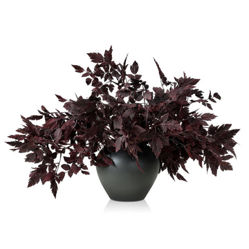 10 Pack 18 Inches Fall Stem Artificial Cimicifuga Plum Leaf Spray