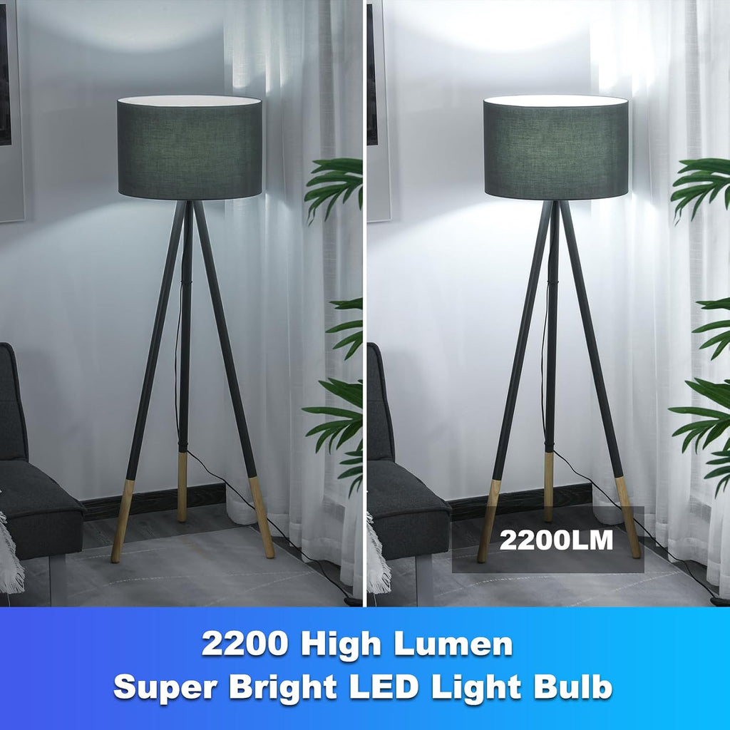 LED Light Bulbs, 150-200 Watt Equivalent Light Bulb, 5000K Daylight White, A21 2200 Lumens LED Light Bulb,Standard