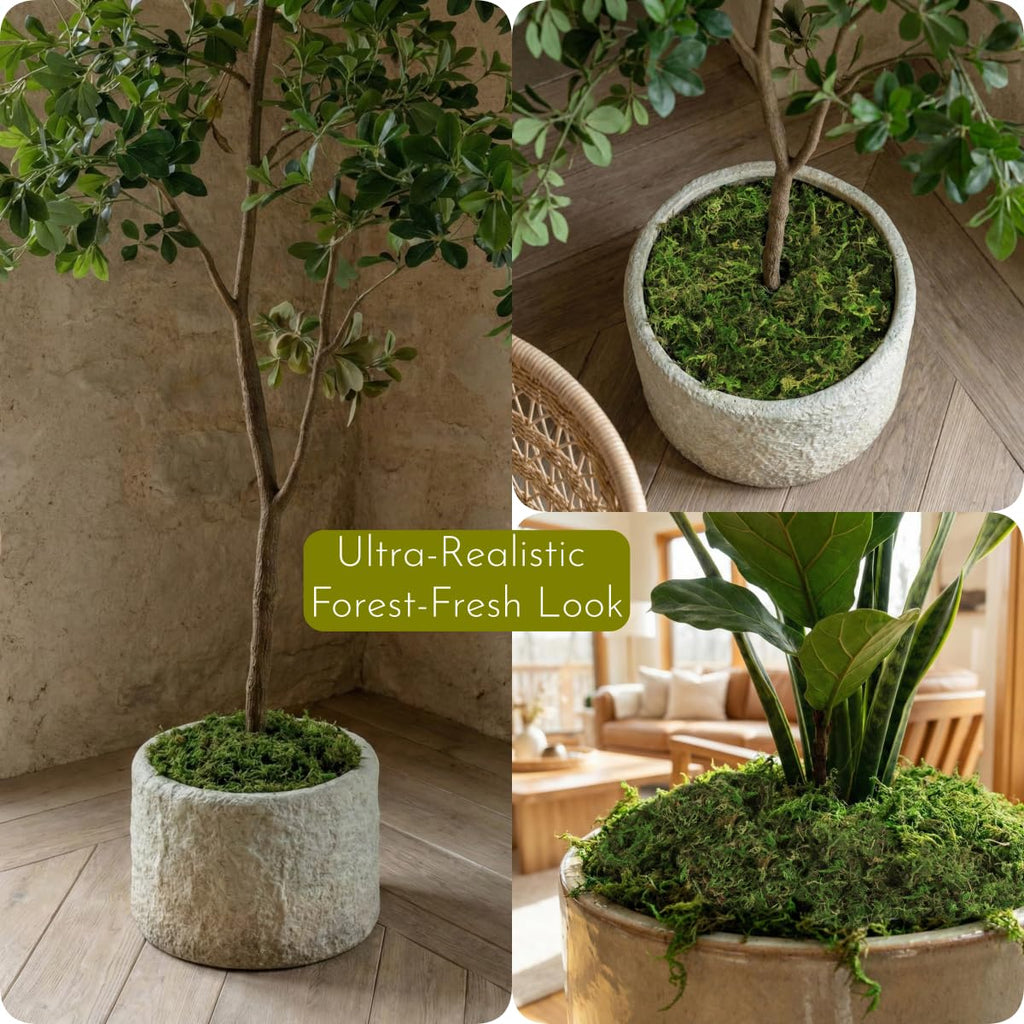 32OZ Large Capacity Artificial Moss - Bulk Fake Moss for Plants Indoor, Planter Filler for Artificial Plants, Crafts