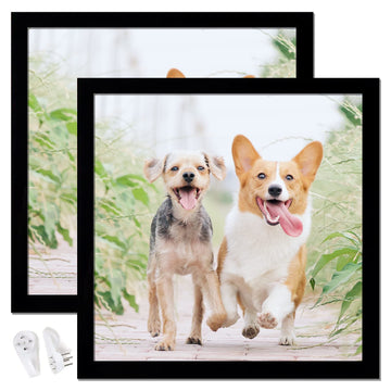 24x24 Picture Frame Set of 2, Black Photo Frames for Gallery Wall Hanging