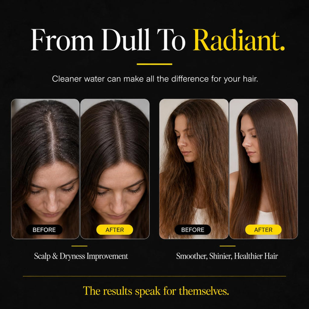Filtered Shower Head, High Pressure Rainfall (Chrome)