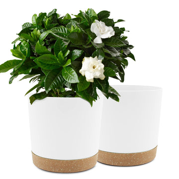 10 inch Plant Pot, 2 Pack Planters for Indoor Plants with Drainage Holes & Saucer, Outdoor Flower Pots Home Garden