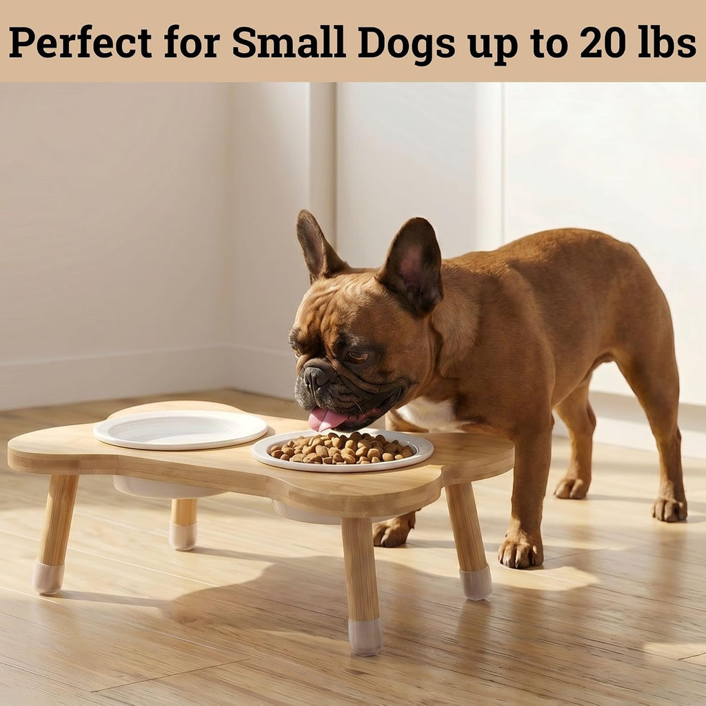 Elevated Dog Bowls for Small Dogs, Set of 2 Ceramic Dog Bowls with Stand