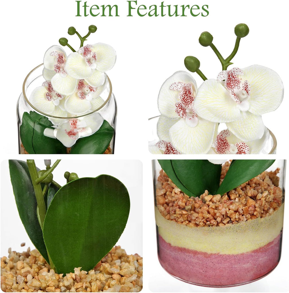 White Orchids Artificial Flowers with Vase, Small Faux Orchid Arrangement Fake Orchids Plant in Terrarium Jar Small
