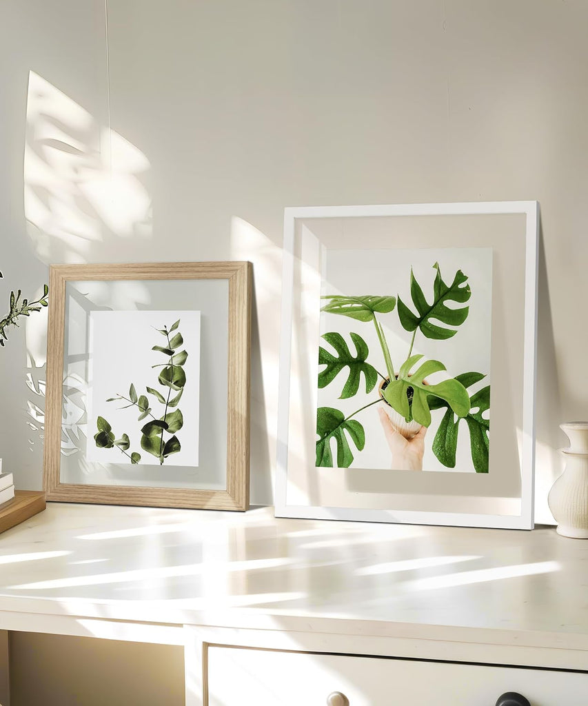 Floating 11x14 Picture Frame White Double Glass Frame Set of 2 | Tempered Double Glass, Wall Display, Pressed Flower