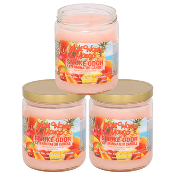 13oz Jar Candle, Maui Wowie Mango, 13 oz (3)