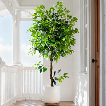 6ft Artificial Ficus Tree Decor, Faux Silk Plants Faux Plant Fake Silk Trees with Pot House Living Room Office Garden