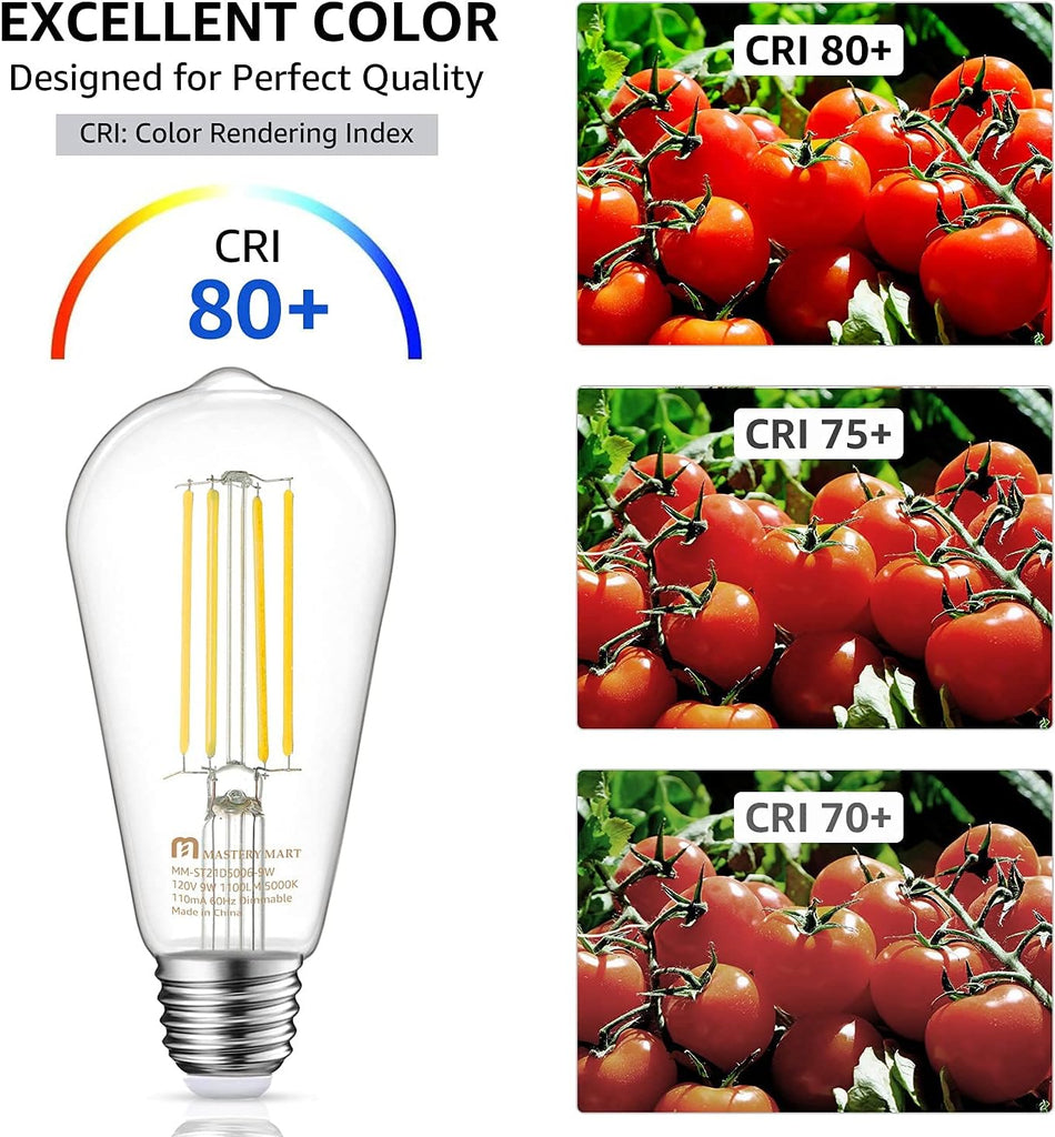 100 Watt LED Bulb, Edison Bulbs, Dimmable Lightbulbs E26, 5000K Daylight White Bright 9W 1100 Lumens, ST21/ST64