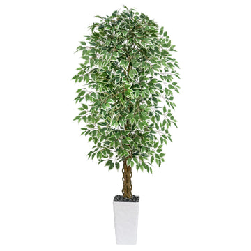 Ficus Tree 7FT, Large Fake Tree Decor (White Planter)
