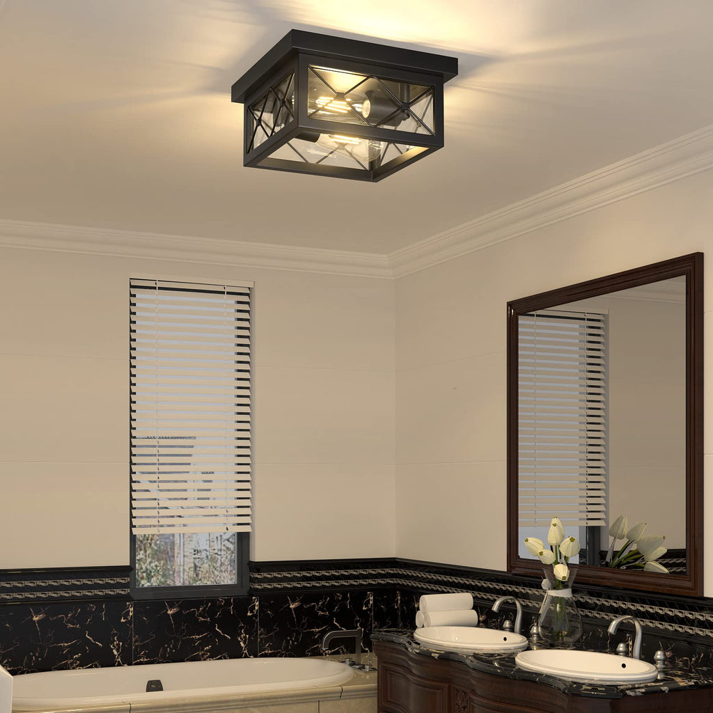 Farmhouse Light Fixtures Ceiling Mount, 2-Light Black Flush Mount Ceiling Light with Clear Glass Shade, Metal Cage