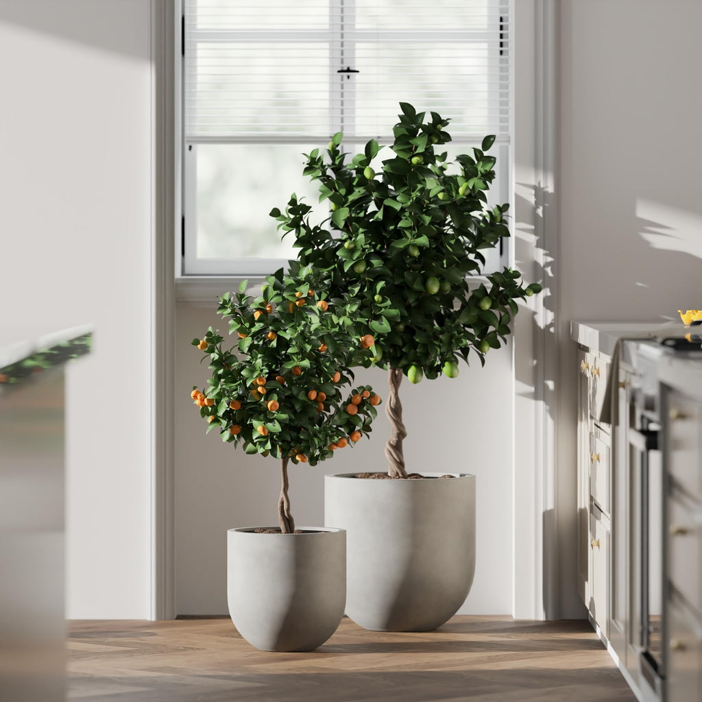 Signature Mount Antero 15.7''D x 15.7''H Modern Indoor Outdoor Fiberstone Bullet Shaped Planter, Durable Round Garden