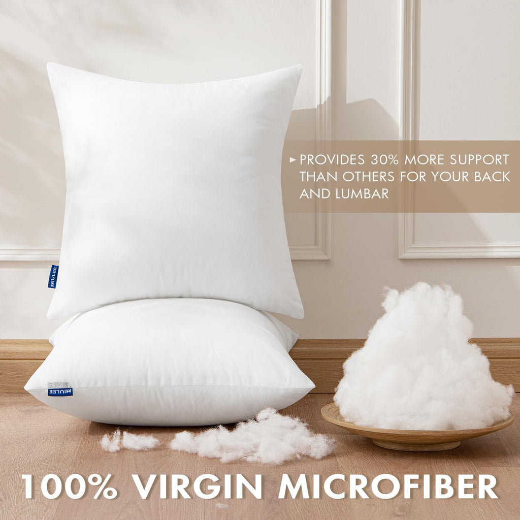 Throw Pillow Inserts 20x20 Inches with 100% Virgin Filling - Set of 2