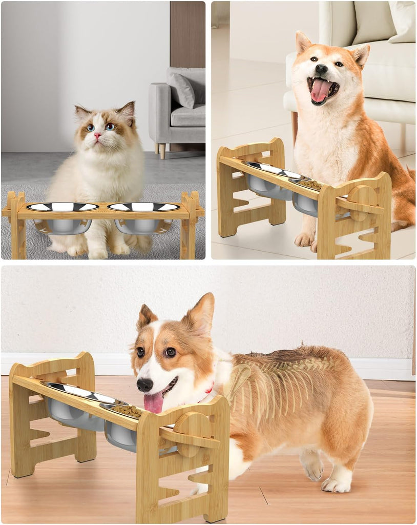 Elevated Dog Bowls, Adjustable Raised Dog Bowl Stand for Small Size Dogs and Cats, 15°Tilted Elevated Cat Bowls