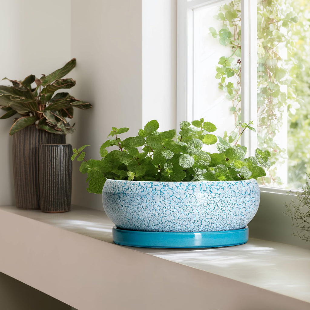Ceramic Bonsai Pots, 13 Inch Ceramic Succulent Pots Indoor, Blue
