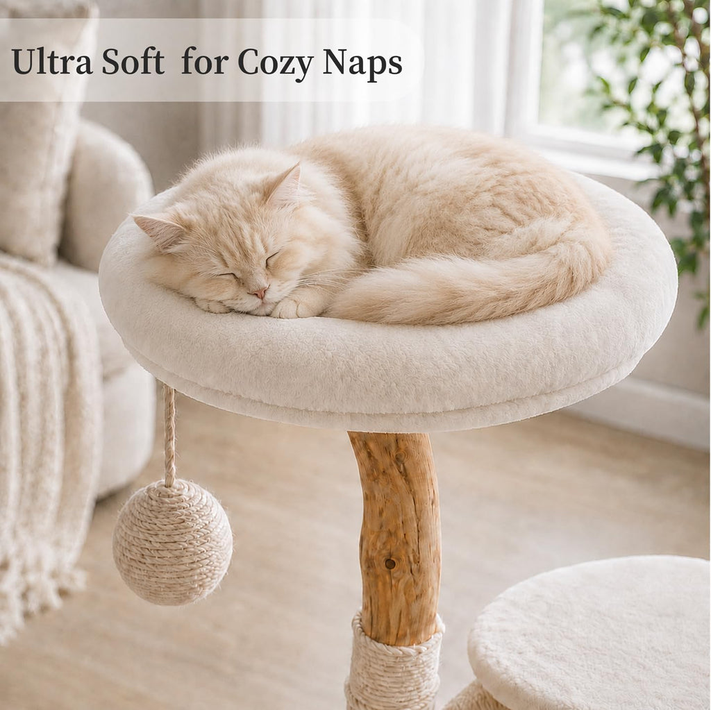 Real Wood Modern Cat Tree Tower, Cat Scratching Post with Bed for Small Indoor Cats, Solid Wooden Climbing Tower