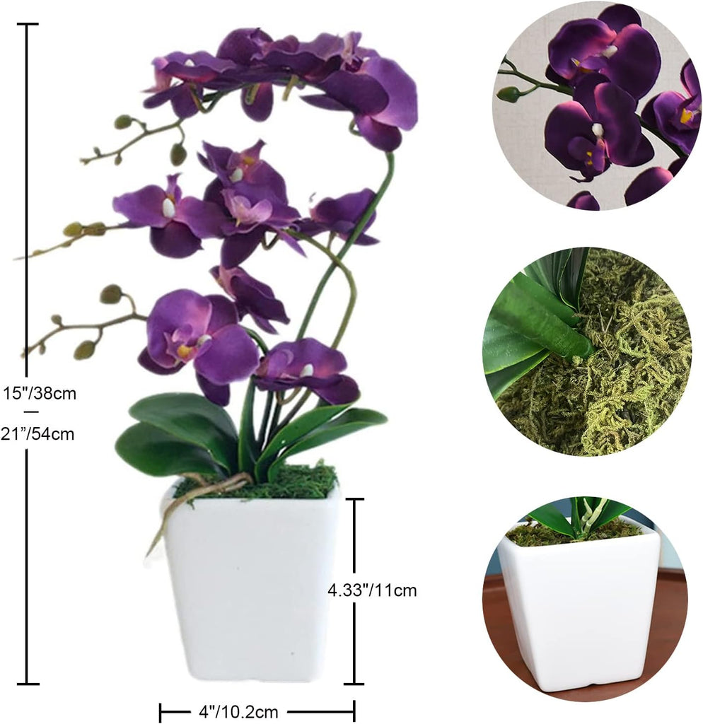 15" Silk Phalaenopsis Orchid in Square Pot, Dark Purple Flower Arrangements