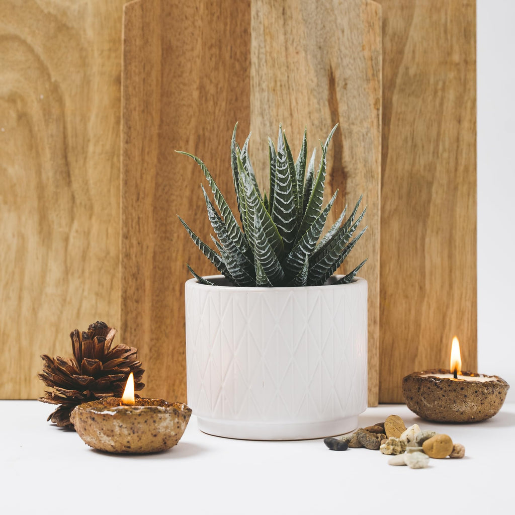 Farmhouse Artificial Succulent Plant in Matte White Ceramic Pot | 7" high Dark Green Aloe Plant | Great as Desk Decor