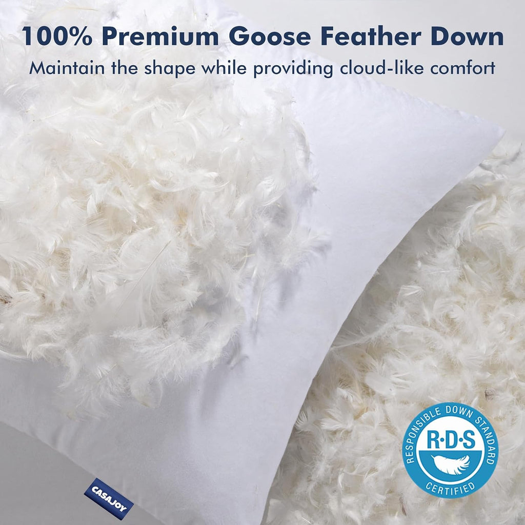 22x22 Pillow Inserts Down Feather Throw Pillows for Couch - Set of 2